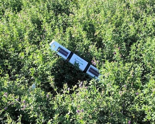 TecaLink BaySensor Deployable in Thick Vegetation